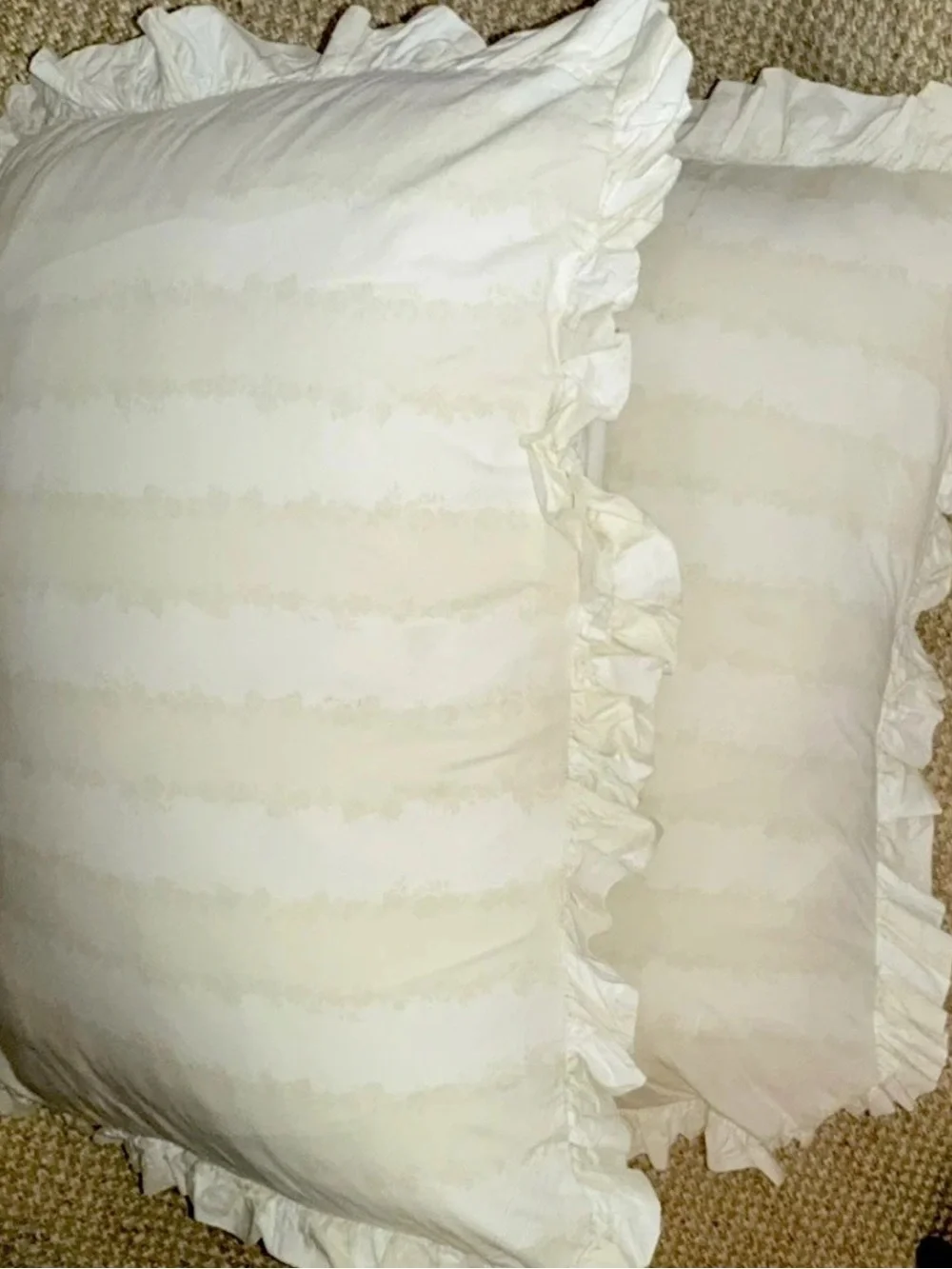 Simply Shabby Chic Rachel Ashwell Grace 2 Ruffled Shams Pristine Vintage Rare